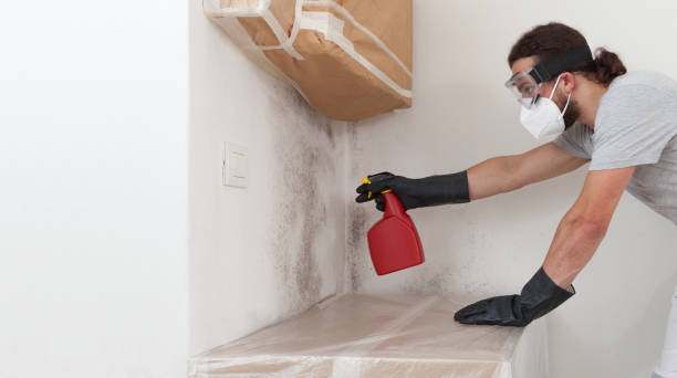 Professional Attic Mold Removal technician working in Long Branch, VA