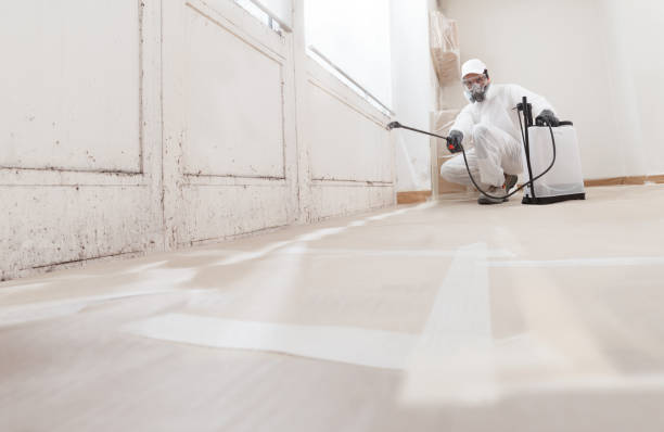 24/7 Emergency Attic Mold Removal experts in Long Branch, VA